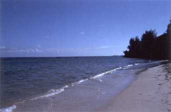 Der Strand von Shanzu