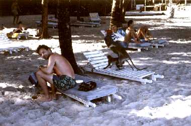 Auch das machen die Affen am Strand