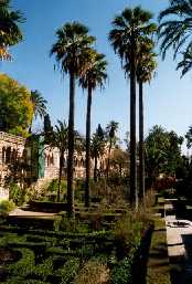 Garten der Real Alcazares