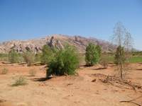 Jebel Hafeet
